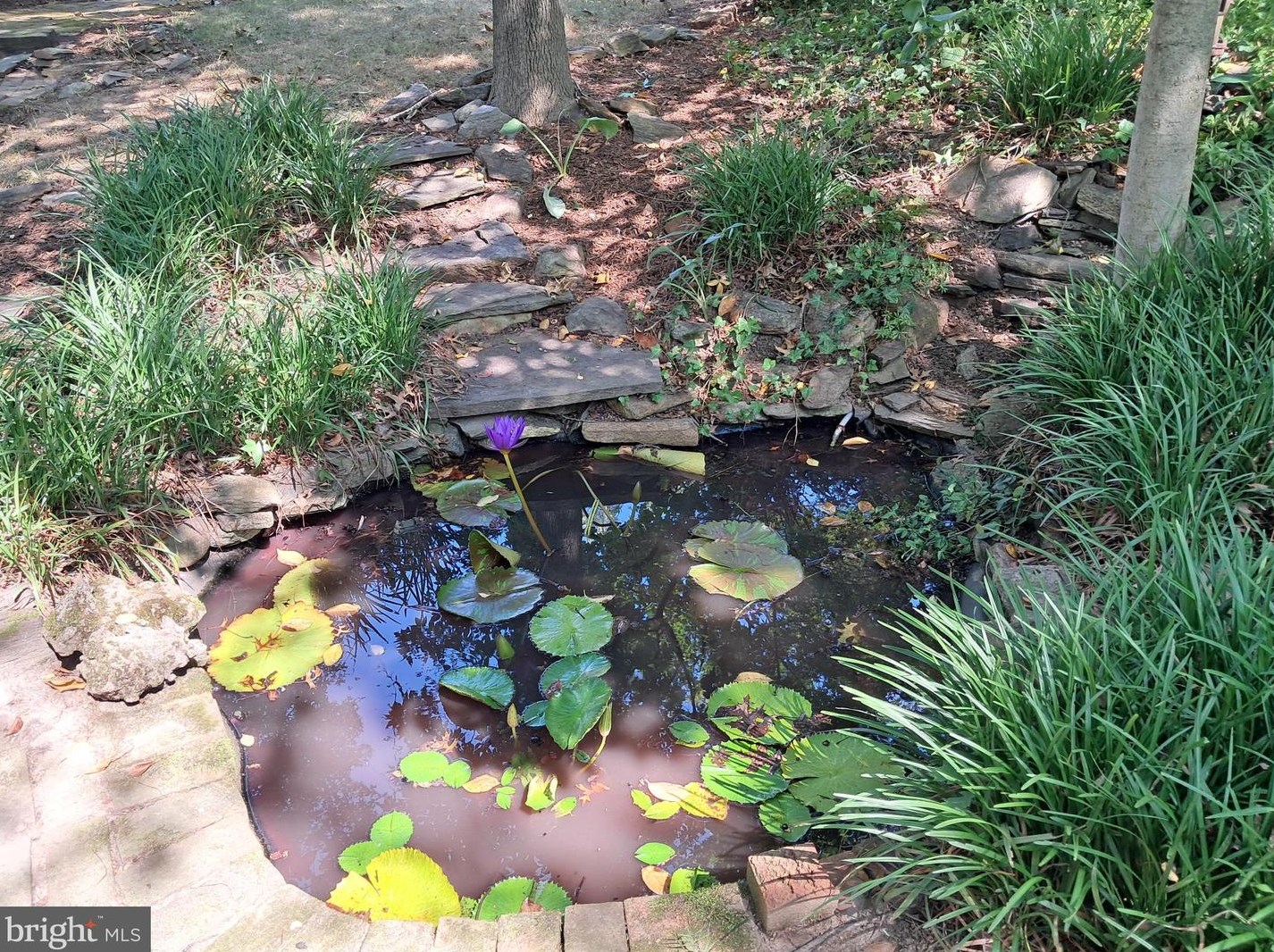 311 Linden Ave, Baltimore MD 21227-2449 exterior