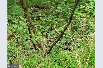 John Ave, Baltimore, MD 21221 - Photo 1