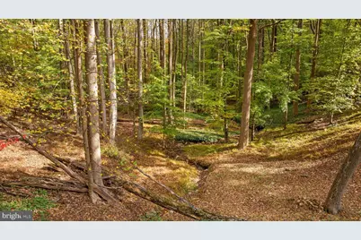 1106 High Country Road, Towson, MD 21286 - Photo 5