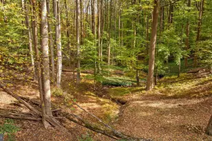 1106 High Country Rd, Towson, MD 21286 - Photo 5