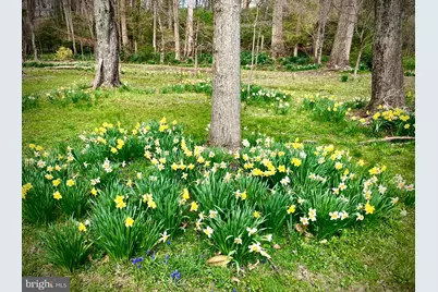 13801 Manor Road, Baldwin, MD 21013 - Photo 41