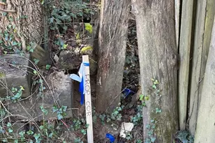 11214 Park Heights Ave, Owings Mills, MD 21117 - Photo 7