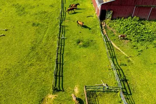 2101 Tufton Ave, Reisterstown, MD 21136 - Photo 125