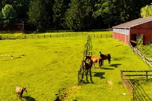 2101 Tufton Ave, Reisterstown, MD 21136 - Photo 123