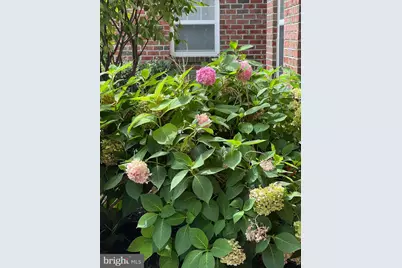 900 Red Brook Boulevard #101, Owings Mills, MD 21117 - Photo 11