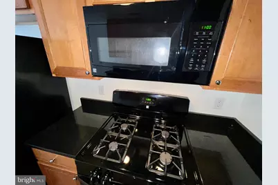 900 Red Brook Boulevard #101, Owings Mills, MD 21117 - Photo 65