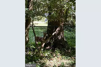 605 Upland Road, Pikesville, MD 21208 - Photo 29