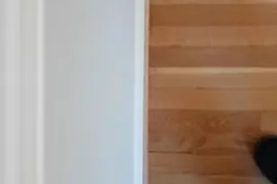 3814 Lochearn Dr, Baltimore, MD 21207 - Photo 13