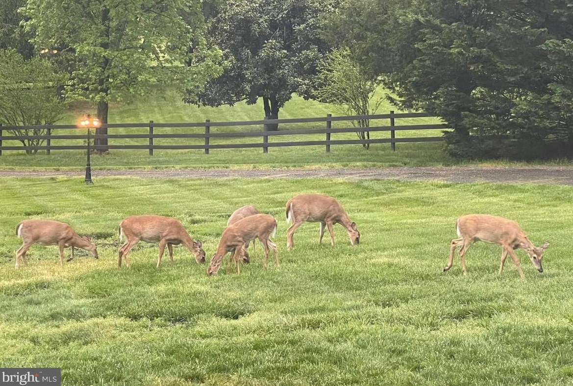 6641 Greenhill Ct, Huntingtown MD 20639-3210 exterior