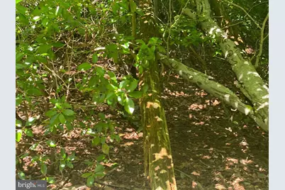 1045 Hyland Lane, Lusby, MD 20657 - Photo 13