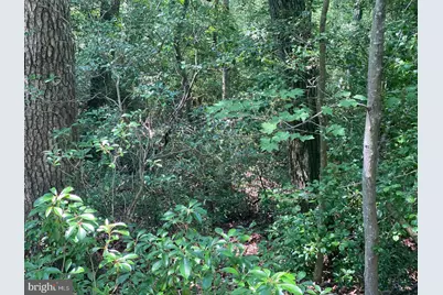 1045 Hyland Lane, Lusby, MD 20657 - Photo 3