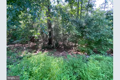 11525 Senora Lane, Lusby, MD 20657 - Photo 3