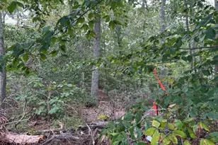 11504 Durango Dr, Lusby, MD 20657 - Photo 1