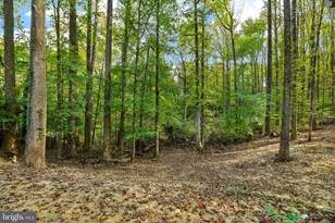 8815 Falling Leaf Dr, Owings, MD 20736 - Photo 37