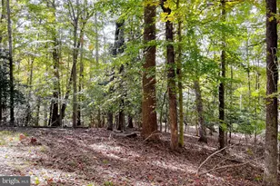 634 Silver Rock Rd, Lusby, MD 20657 - Photo 3