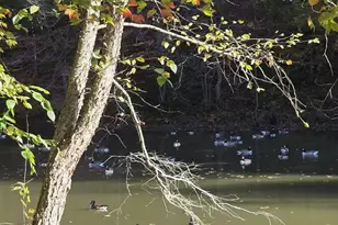 520 E Chesapeake Beach Rd, Owings, MD 20736 - Photo 35