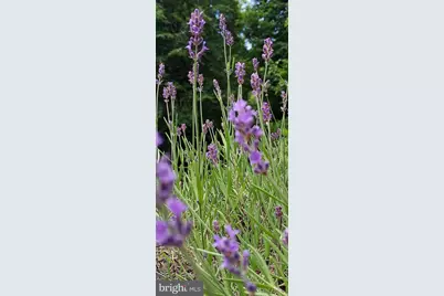 7410 Dakota Avenue, Chesapeake Beach, MD 20732 - Photo 53