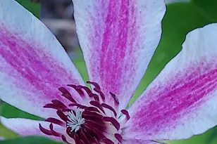 7410 Dakota Ave, Chesapeake Beach, MD 20732 - Photo 51