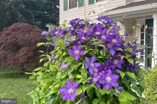 2425 Woodland Ct, Chesapeake Beach, MD 20732 - Photo 35