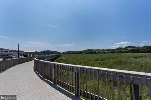 2425 Woodland Ct, Chesapeake Beach, MD 20732 - Photo 51