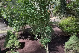 12330 Potomac View Rd, Newburg, MD 20664 - Photo 33