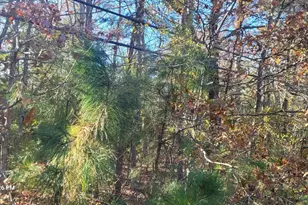 Rock Point, Newburg, MD 20664 - Photo 1