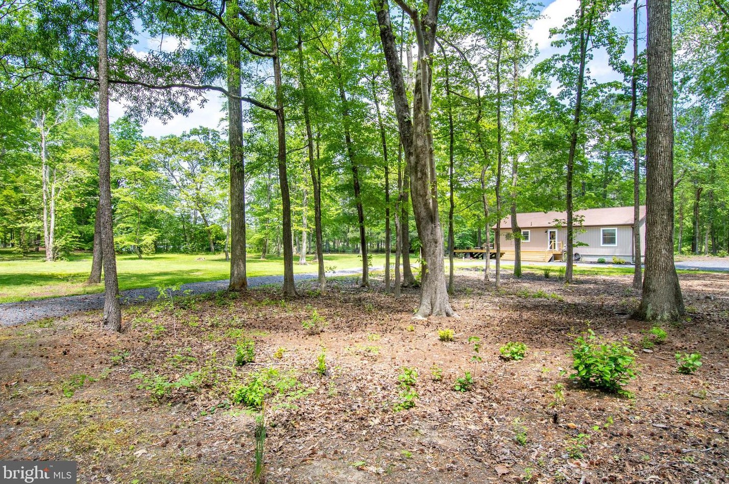 20680 Tammuxzena Dr, Preston MD  21655-1477 exterior