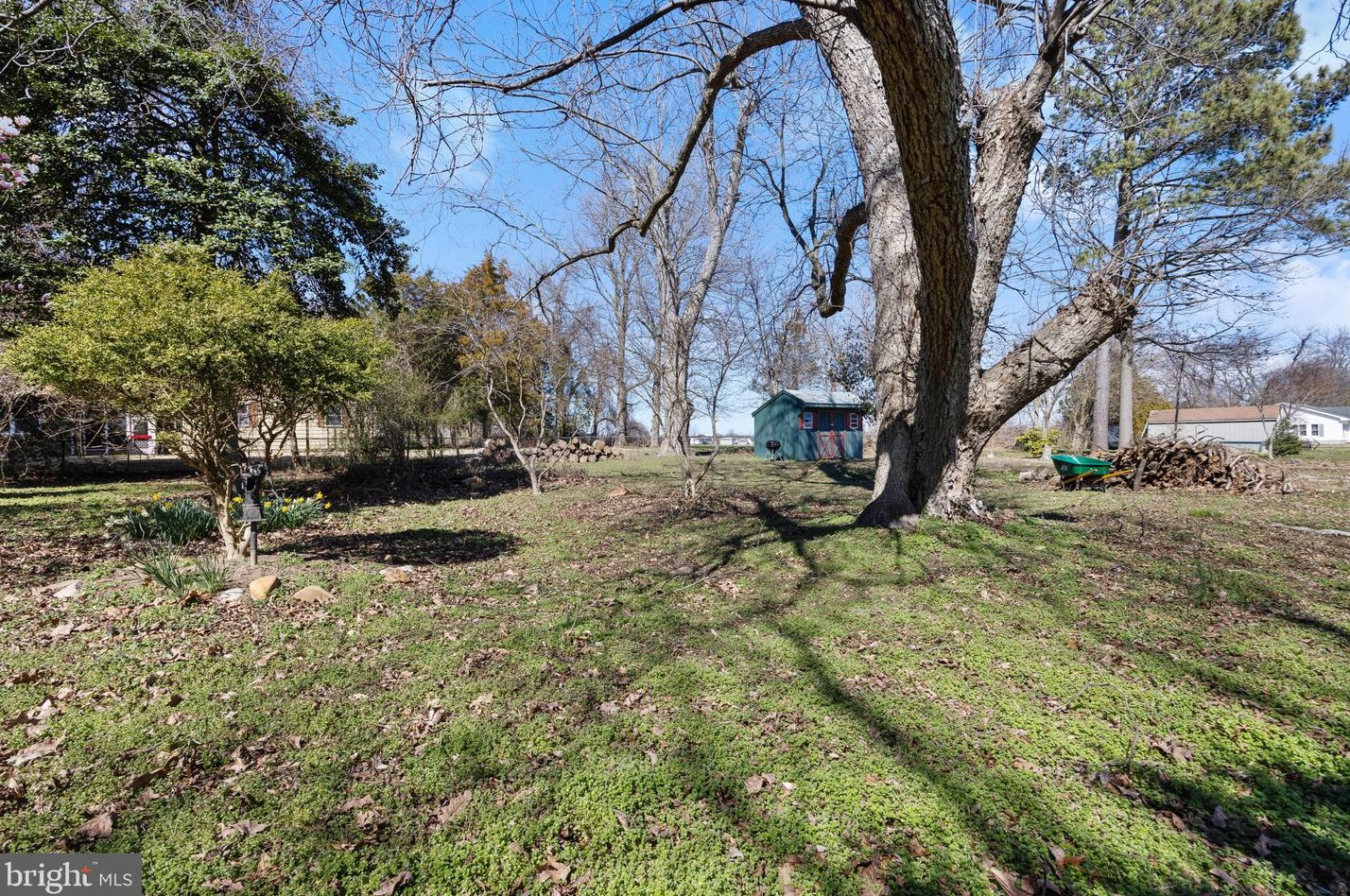 113 Noble Ave, Preston MD  21655-7011 exterior