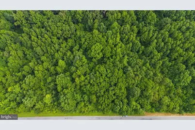 Burnt Mill Road, Ridgely, MD 21660 - Photo 7