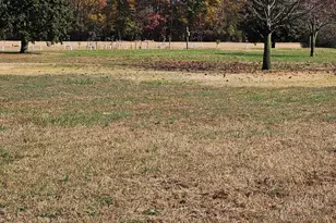 12459 Kibler Rd, Greensboro, MD 21639 - Photo 35