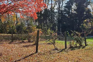 12459 Kibler Rd, Greensboro, MD 21639 - Photo 29