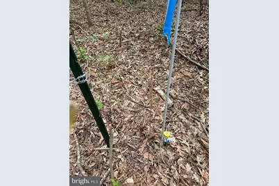 Parcel 91 Cool Spring, Marydel, MD 21649 - Photo 13