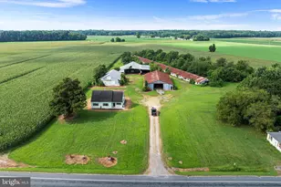 25699 Auction Rd, Federalsburg, MD 21632 - Photo 59