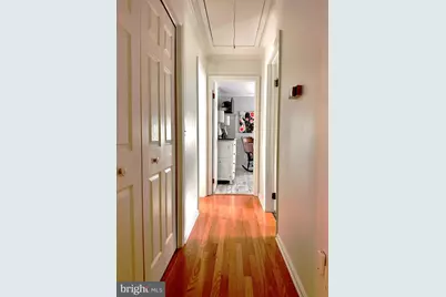 320 N Main Street, Greensboro, MD 21639 - Photo 27