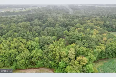 14990 Greensboro Road, Goldsboro, MD 21636 - Photo 5