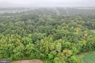 14990 Greensboro Rd, Goldsboro, MD 21636 - Photo 5