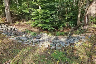 24324 Asbury Dr, Denton, MD 21629 - Photo 47