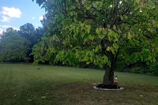 2766 Veterans Dr, Federalsburg, MD 21632 - Photo 45