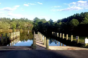 2766 Veterans Dr, Federalsburg, MD 21632 - Photo 67