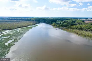 24800 Pealiquor Rd, Denton, MD 21629 - Photo 109