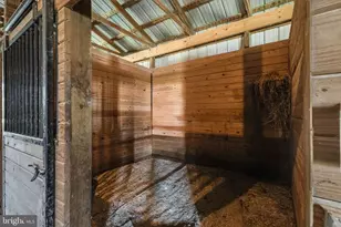 4757 Long Swamp Rd, Federalsburg, MD 21632 - Photo 29