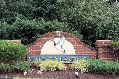 1403 Blue Heron Drive, Denton, MD 21629 - Photo 29