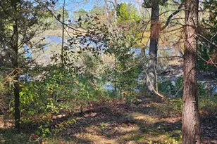 4935 Edmondson Creek Rd, Preston, MD 21655 - Photo 7