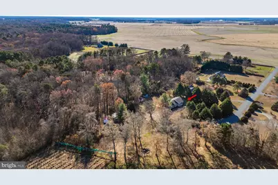 24029 Meadows Drive, Ridgely, MD 21660 - Photo 35