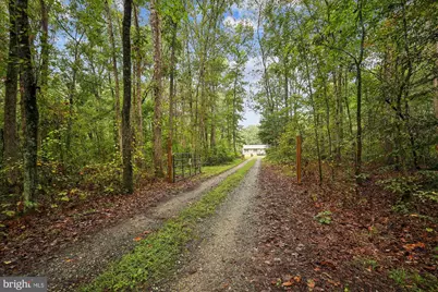 26623 Bee Tree Road, Henderson, MD 21640 - Photo 29