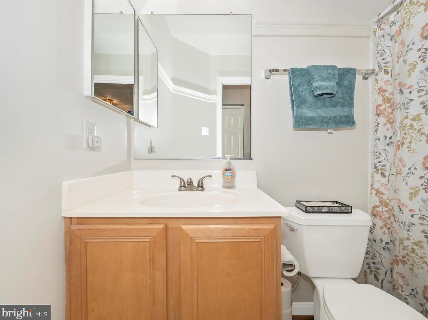 1513 Chessie Ct, Mount Airy MD 21771-7750 exterior