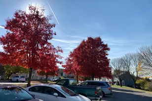 428 Palmer Terrace, Westminster, MD 21158 - Photo 33