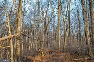 4201 Poole Rd, Finksburg, MD 21048 - Photo 85