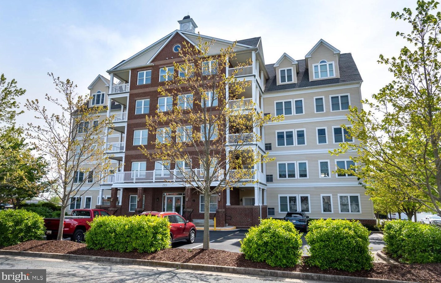 301 Muir St #202, Cambridge, MD 21613