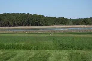 2826 Hoopers Island Rd, Church Creek, MD 21622 - Photo 13